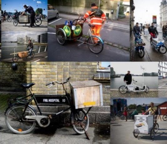 ECF Cargo Bike Crazy
