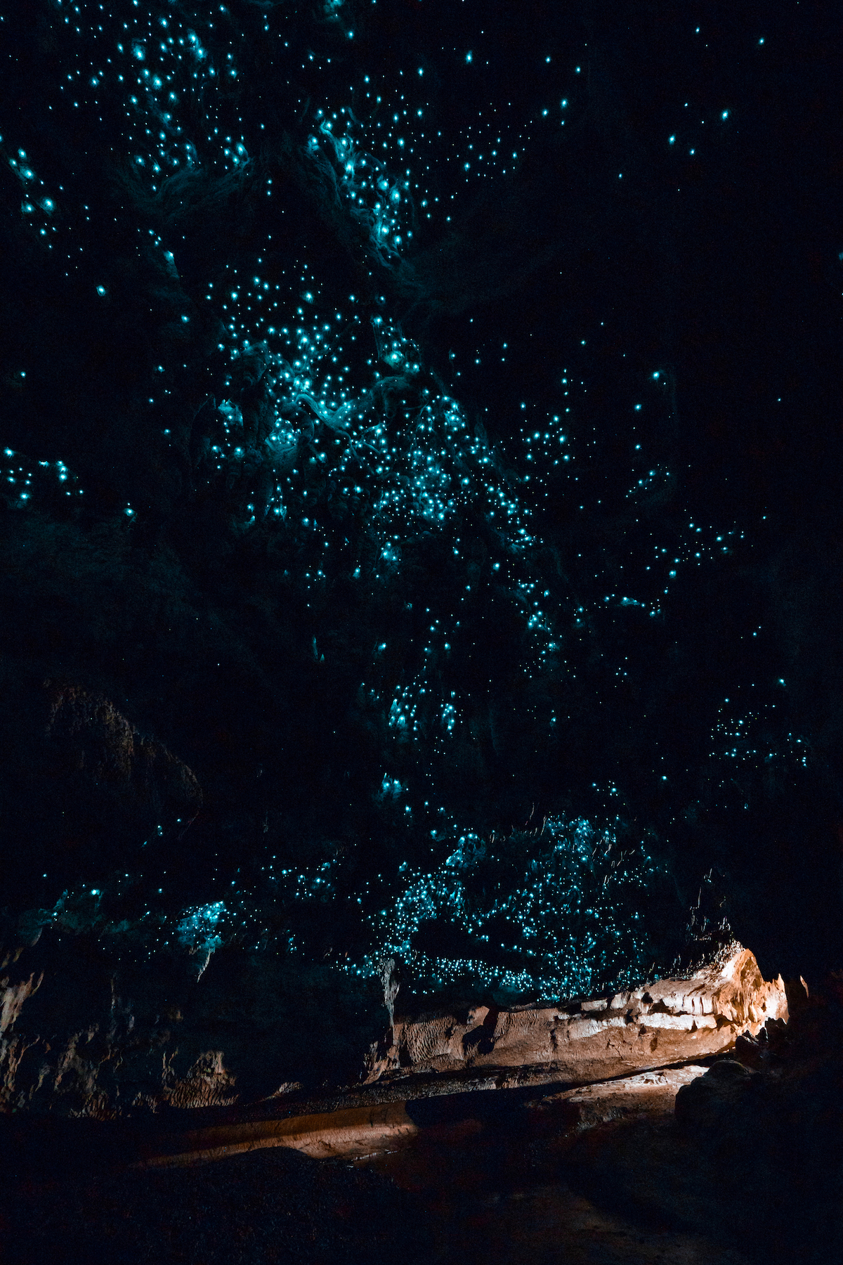 Waipu Caves, la cueva en la que el firmamento está hecho de pequeños gusanos fluorescentes