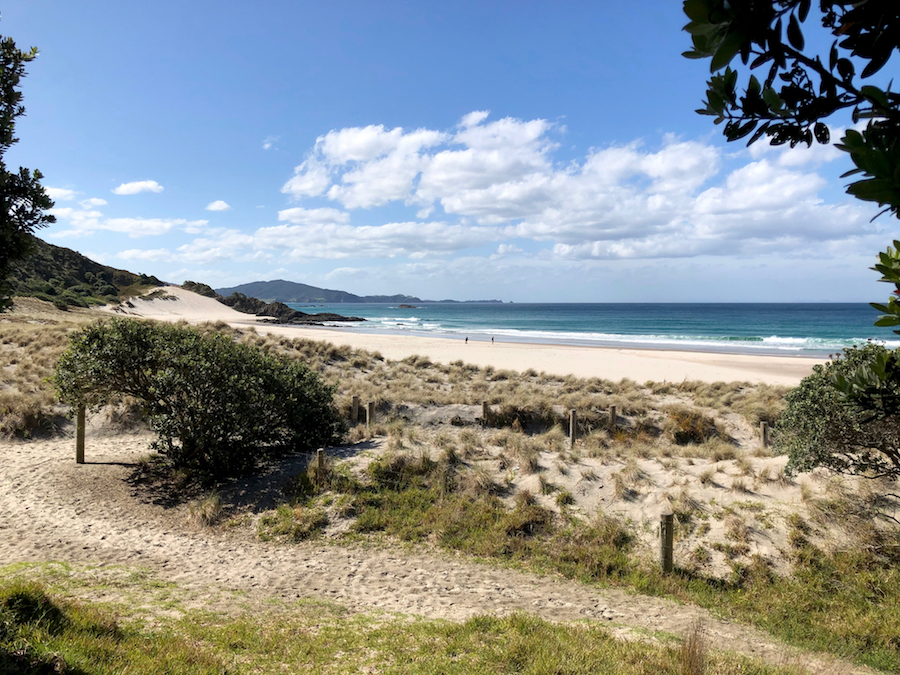 NZ Diario de un viaje. Playa de Ocean Beach prácticamente desierta