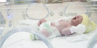 Incubadora neonatal