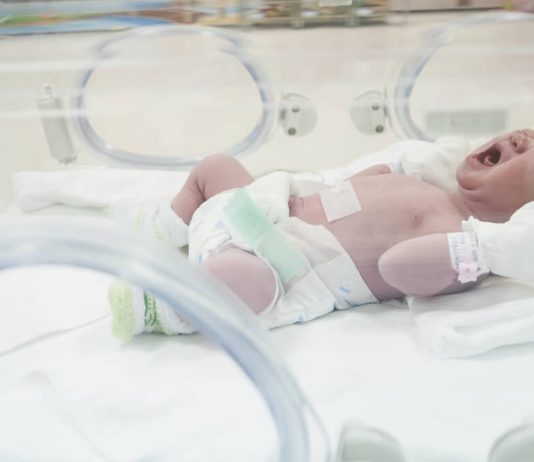 Incubadora neonatal