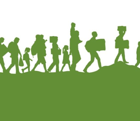 CEAR banner asilo refugio