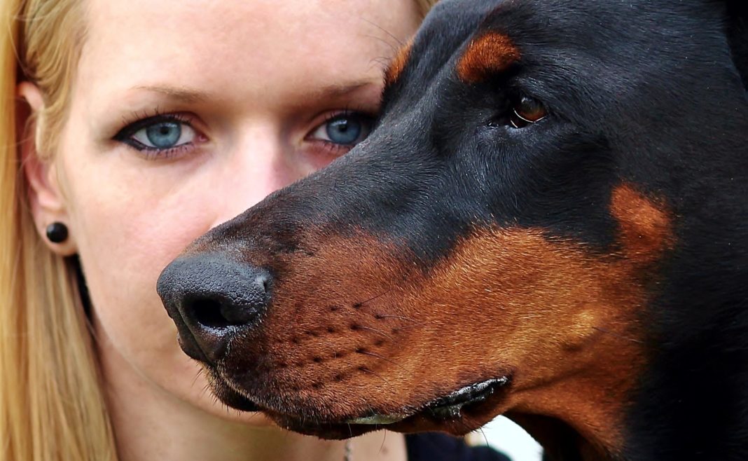 Primer plano de una mujer detrás de su perro. El hocico, por delante, cubre la mitad de su cara.