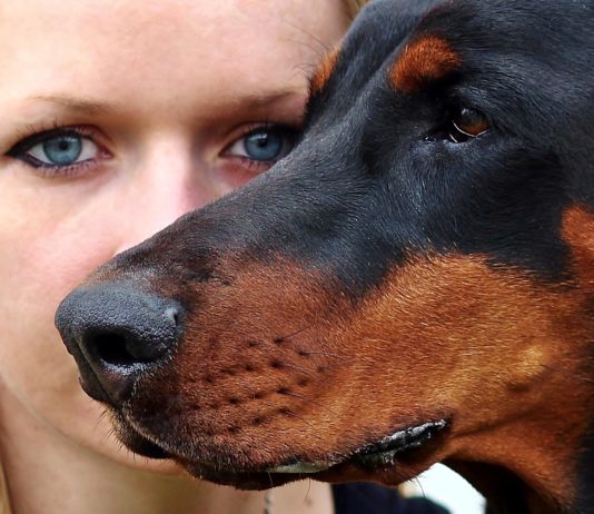 Primer plano de una mujer detrás de su perro. El hocico, por delante, cubre la mitad de su cara.