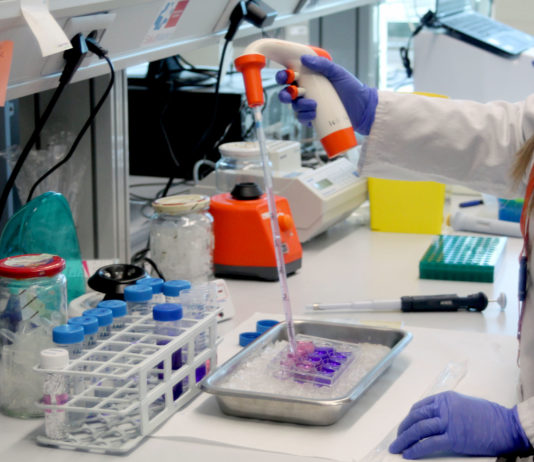 Laboratorio