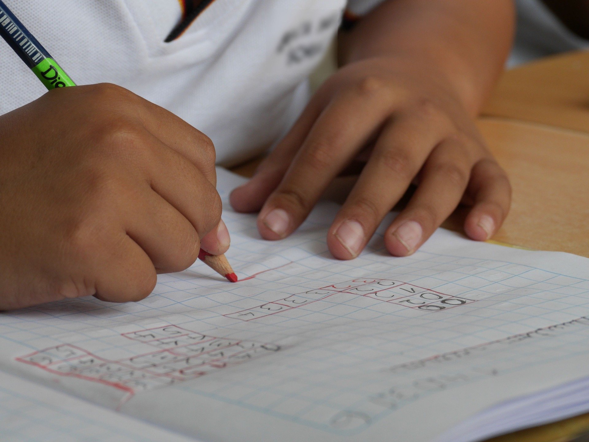 Niños estudio Niños estudio