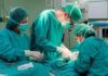 Discapacidad: avanza la tramitación parlamentaria de la esterilización forzosa