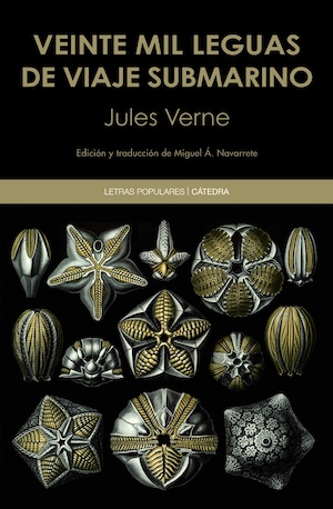 Catedra Julio Verne banner