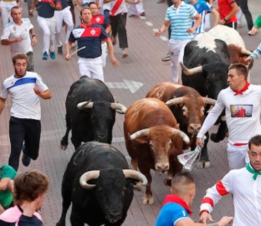 Encierros Sanse