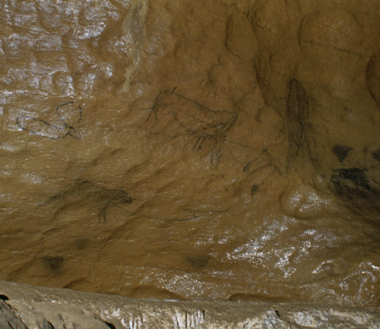 Fundación Atapuerca M A Martín Sala de las Pinturas
