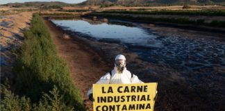 Greenpeace denuncia que la carne industrial contamina, JUN2020