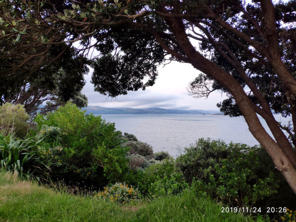 Punta Halswell en la península de Miramar, Wellington