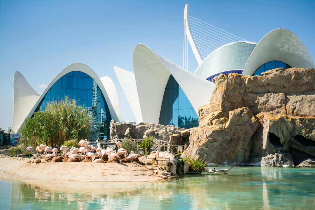 Ciudad de las Artes y las Ciencias