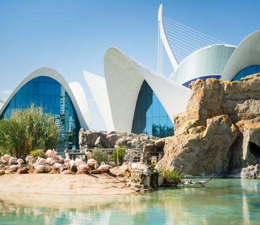 Ciudad de las Artes y las Ciencias