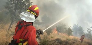 UME Monterrei Galicia incendios forestales