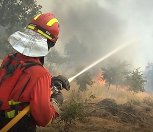 UME Monterrei Galicia incendios forestales