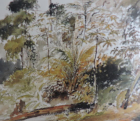 Pissarro Linde de bosque acuarela