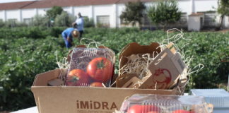 Tomates iMiDRA Madrid