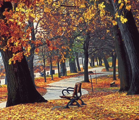 Madrid Retiro Otoño