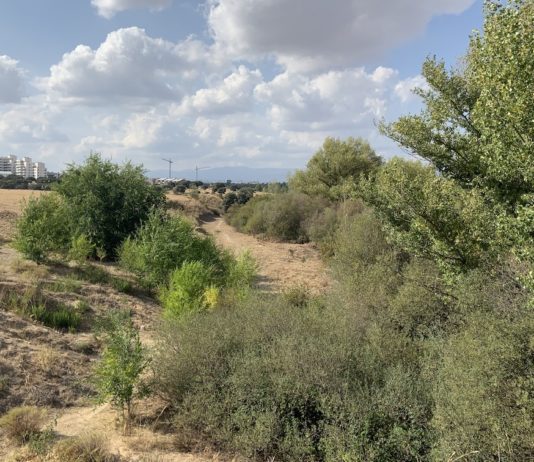 Parque Norte de Tres Cantos SEP2020
