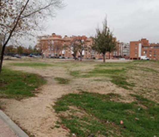 San Fermín parcela instituto