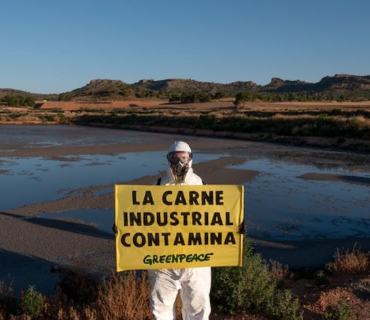 Greenpeace carne industrial