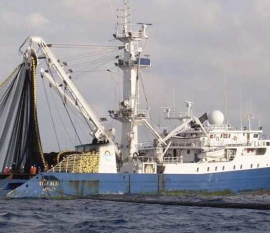 barcos atuneros