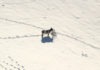 Operación para alimentar el ganado aislado por el temporal en Colmenar Viejo Madrid rural: ganado aislado por la nieve de Filomena en Colmenar Viejo