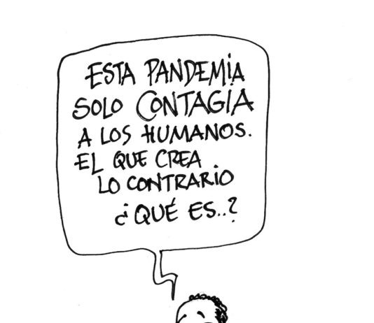 Miguel Porres pandemia humanos