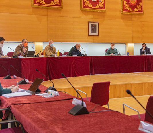 Tres Cantos pleno municipal 28ENE2021