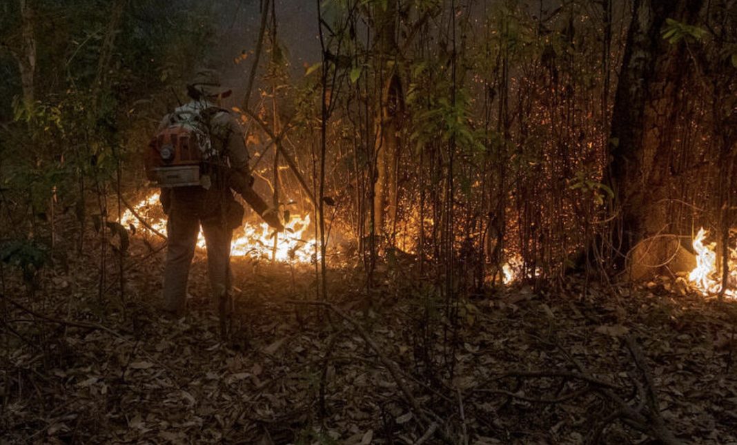Mato Grosso, Brasil. En 2020, los incendios en el Pantanal, la llanura aluvial interior más grande del mundo, en el centro-oeste de Brasil, alcanzaron más del 12% del bioma. Aproximadamente 2,3 millones de hectáreas fueron consumidas por el incendio, con graves impactos en la vida silvestre de la región.