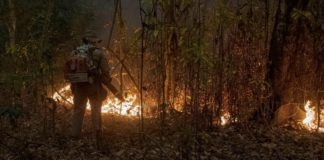 Mato Grosso, Brasil. En 2020, los incendios en el Pantanal, la llanura aluvial interior más grande del mundo, en el centro-oeste de Brasil, alcanzaron más del 12% del bioma. Aproximadamente 2,3 millones de hectáreas fueron consumidas por el incendio, con graves impactos en la vida silvestre de la región.