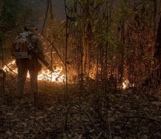 Mato Grosso, Brasil. En 2020, los incendios en el Pantanal, la llanura aluvial interior más grande del mundo, en el centro-oeste de Brasil, alcanzaron más del 12% del bioma. Aproximadamente 2,3 millones de hectáreas fueron consumidas por el incendio, con graves impactos en la vida silvestre de la región.