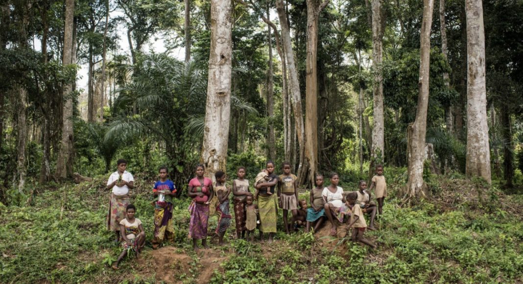 UNICEF, Vincent Tremeau: Aldea indígena en una zona de bosques de la República Democrática del Congo