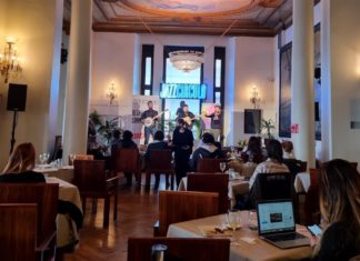 Fundación Nadine Young Forest