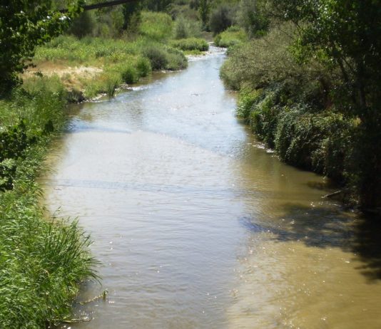 Río Guadarrama en Madrid riberas