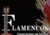 Teresa Fernández Flamencos cubierta