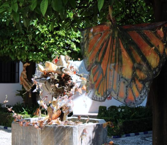 JC Santana: Córdoba, Patios, mariposa Monarca de Lucila Veloz