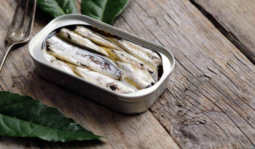 sardinas en lata