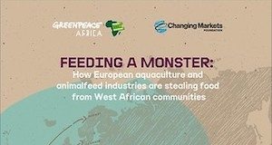 Greenpeace informe pesca África occidental