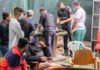 Peleas de gallos en Sanse