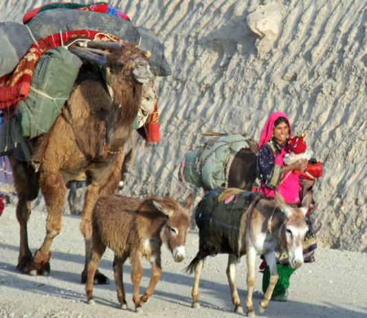 Gitanos Kochi en Panjshir Afganistán