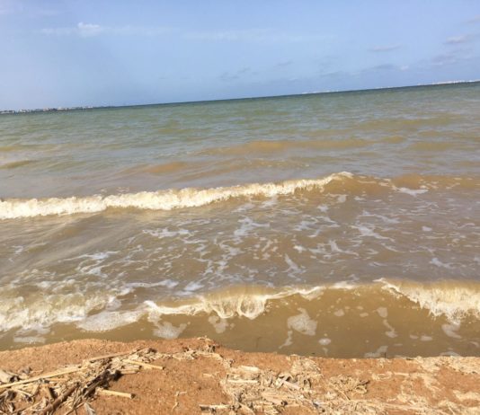 Aspecto del agua en el Mar Menor