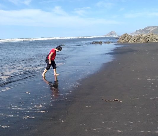 Eduardo Madroñal Cuando el magma se hace ma