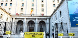 Casi una veintena de activistas de Greenpeace han instalado hoy en la puerta del Ministerio para la Transición Ecológica y el Reto Demográfico una vaca y un cerdo de unos 4 metros de altura para denunciar el insostenible impacto ambiental de la ganadería industrial en la calidad de las aguas. Junto a los animales gigantes, se ha simulado un “oloroso” vertido de purines, hecho con mezcla de humus y compost orgánico, y se han desplegado pancartas con mensajes como “Macrogranjas no” o “#ProtegeTuAgua”. © Greenpeace / MarioGómez