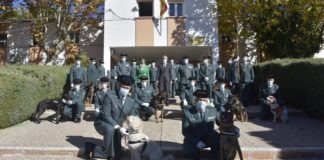Guardia Civil mérito canino