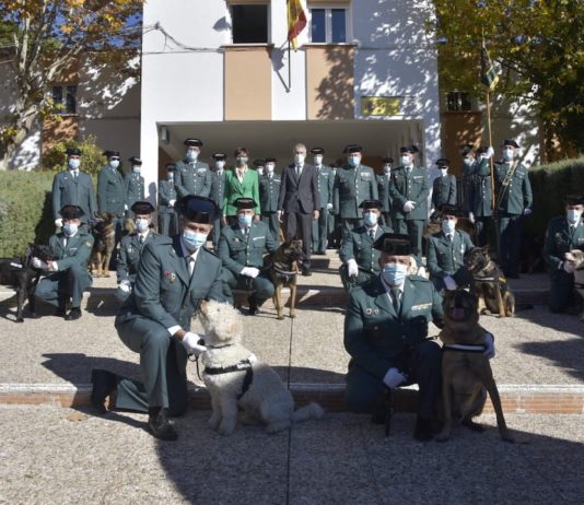 Guardia Civil mérito canino