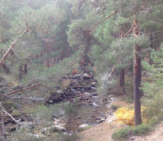 Arroyo de la Angostura Rascafría