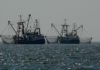 Pesca demersal en el Mediterráneo