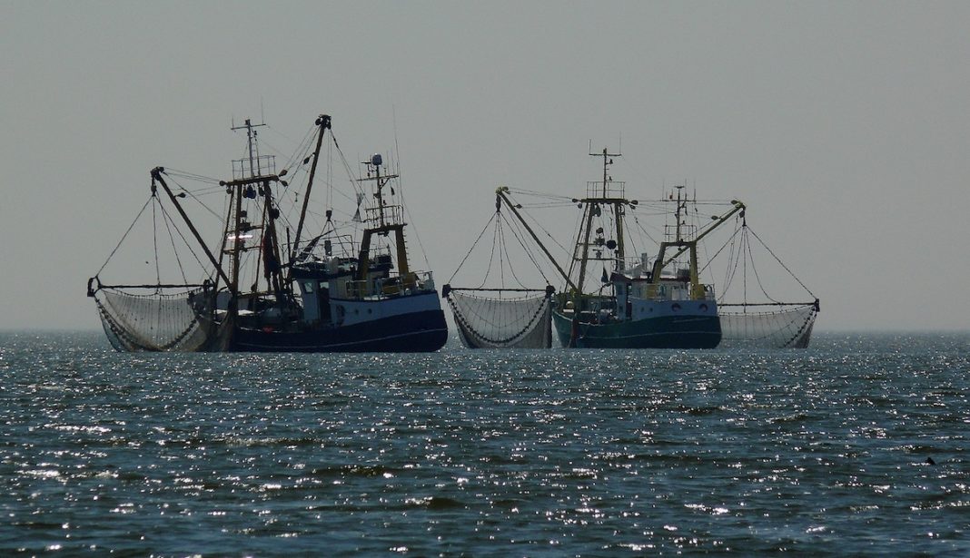 Pesca demersal en el Mediterráneo